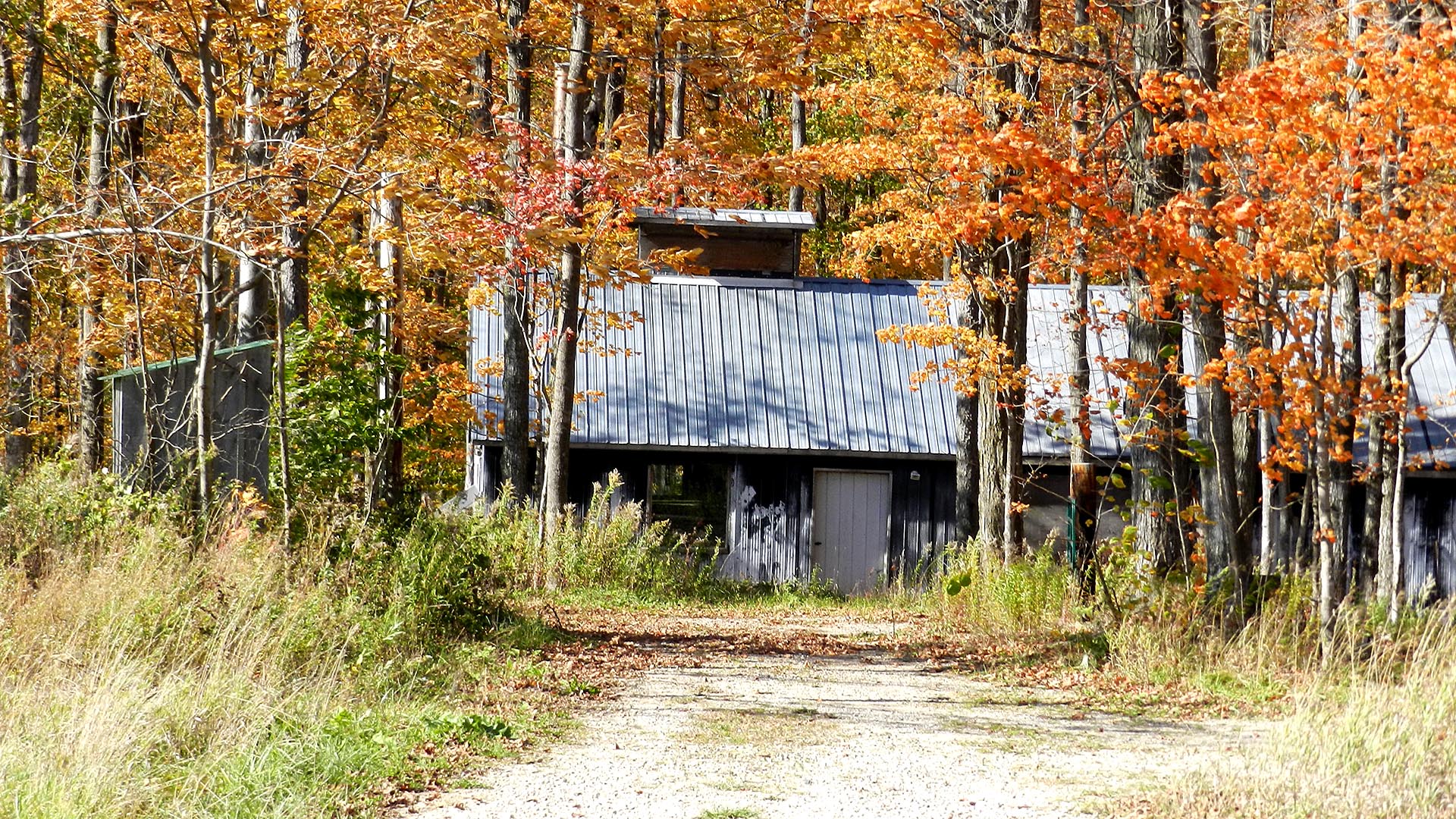 About Us - Sand Hills Maple Products